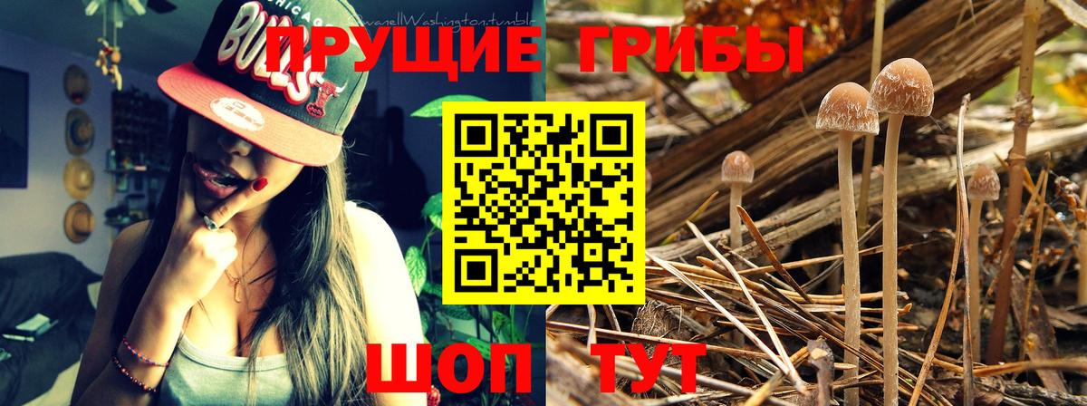 Галлюциногенные грибы мухоморы Мурино