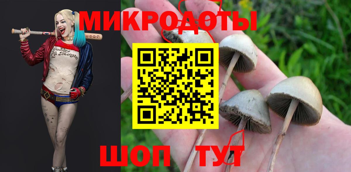 Мурино  Галлюциногенные грибы мухоморы  Вход с VPN  Галлюциногенные грибы Psilocybine cubensis 